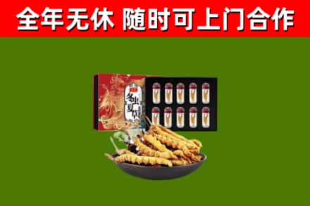 化州回收冬虫夏草价格